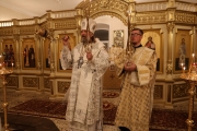 1J7A3193-